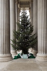 Feierliche Übergabe des Weihnachtsbaumes der Bundesforste